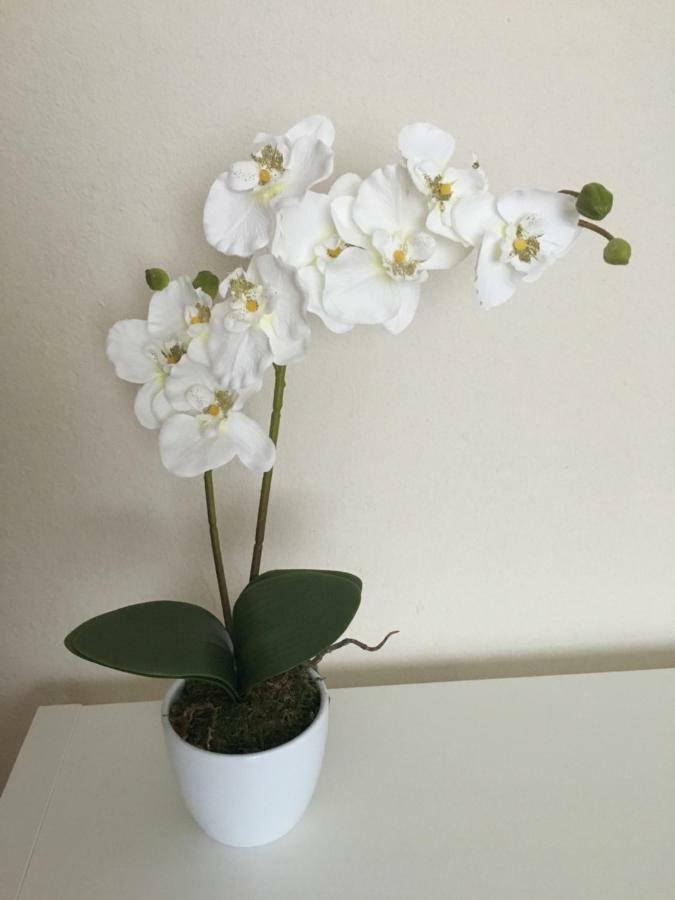 Hallerndorf Ferienwohnung Franken מראה חיצוני תמונה